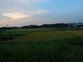 p13587.jpg