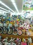 p13666.jpg