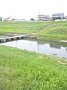 p13695.jpg