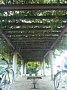 p13703.jpg