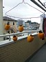 p13785.jpg