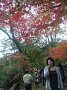 p13838.jpg