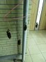 p13881.jpg