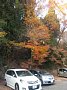 p13903.jpg