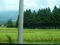 p13933.jpg