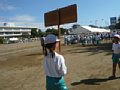 p13986.jpg