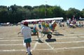 p13988.jpg