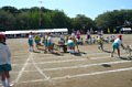 p13989.jpg
