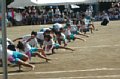 p14016.jpg