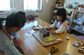 p14071.jpg