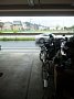 p14229.jpg