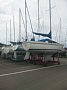 p14373.jpg