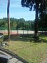p14460.jpg