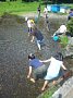 p14480.jpg