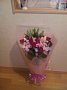 p14508.jpg