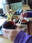 p14606.jpg