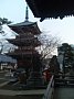 p14608.jpg