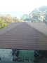 p14740.jpg