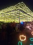 p15011.jpg