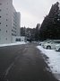 p15076.jpg