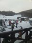 p15093.jpg