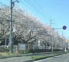 p15313.jpg