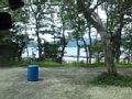 p15353.jpg