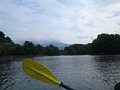 p15364.jpg