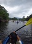 p15371.jpg
