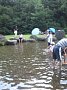 p15401.jpg
