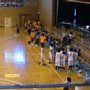 p15460.jpg