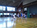 p15510.jpg
