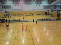 p15527.jpg