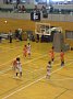 p15531.jpg