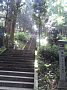p15538.jpg