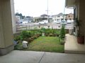 p15585.jpg