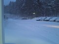 p15733.jpg