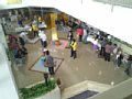 p15742.jpg