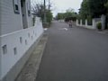 v00226.asf
