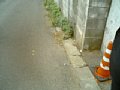 w00031.jpg