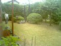 w00056.jpg