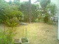 w00057.jpg