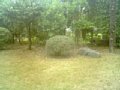 w00061.jpg