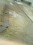 w00176.jpg