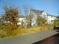 w00184.jpg