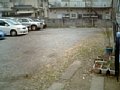 w00249.jpg