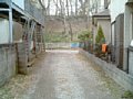 w00251.jpg