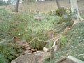 w00255.jpg
