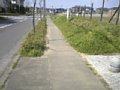 w00275.jpg