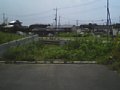 w00579.jpg